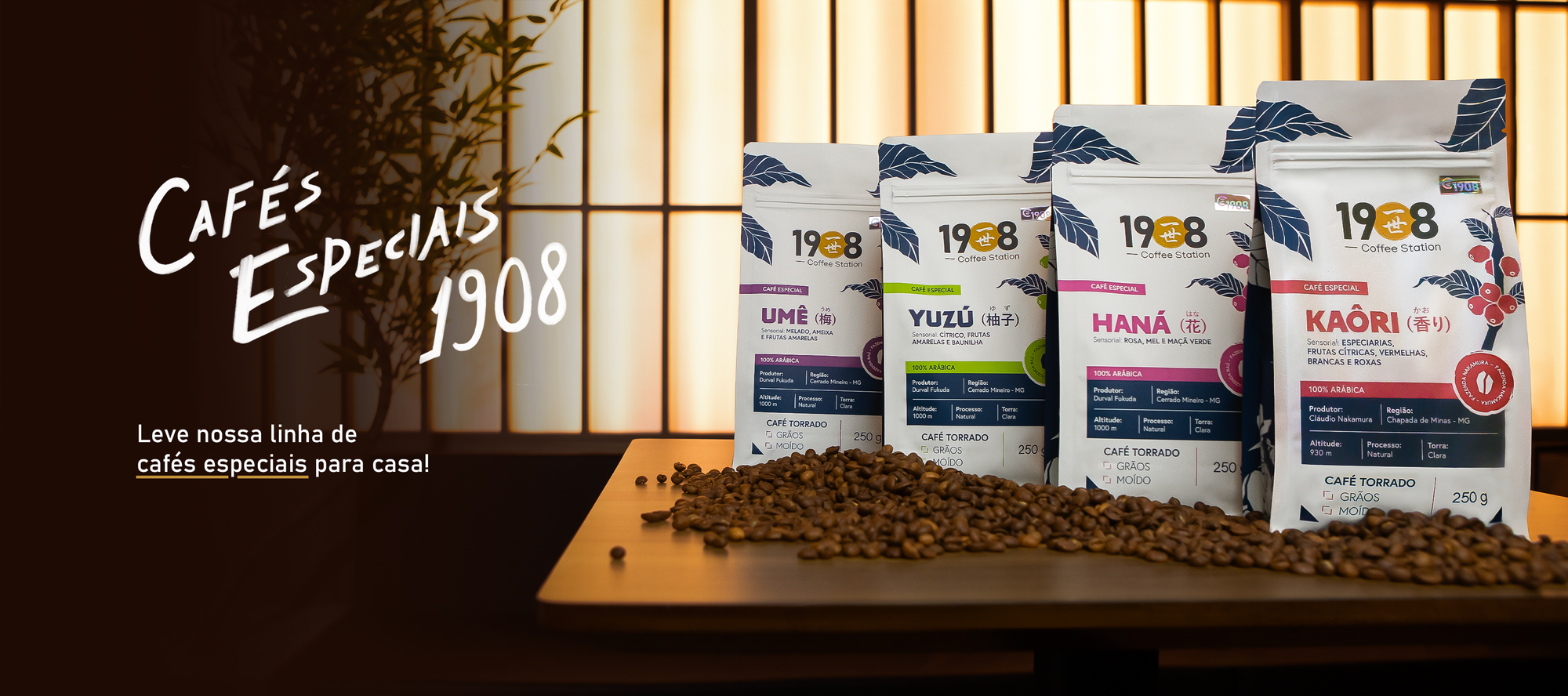 Banner versão desktop